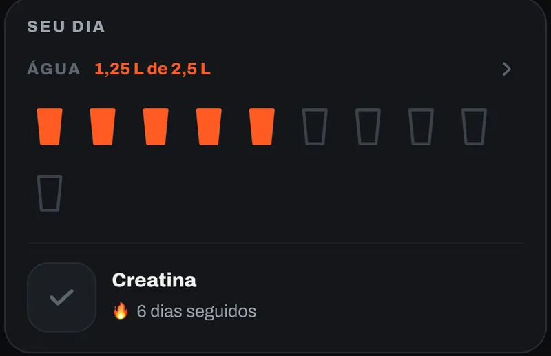 Cartão Seu dia no app: água com 1,25 L de 2,5 L, cinco copos marcados de dez, e a creatina marcada há 6 dias seguidos